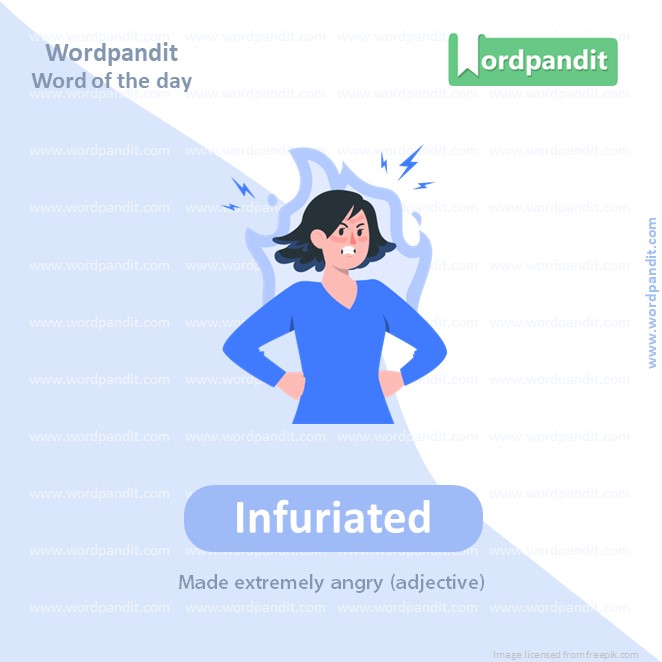 Infuriated Picture Vocabulary