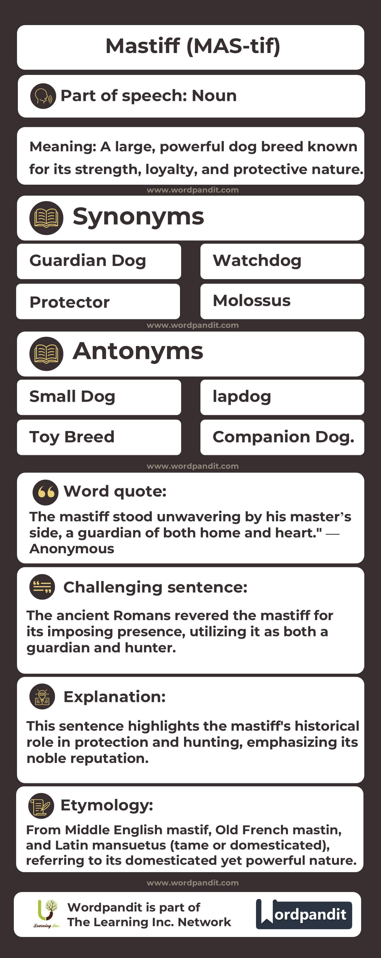 Mastiff Flashcard