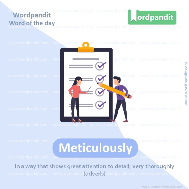 Meticulously Picture Vocabulary