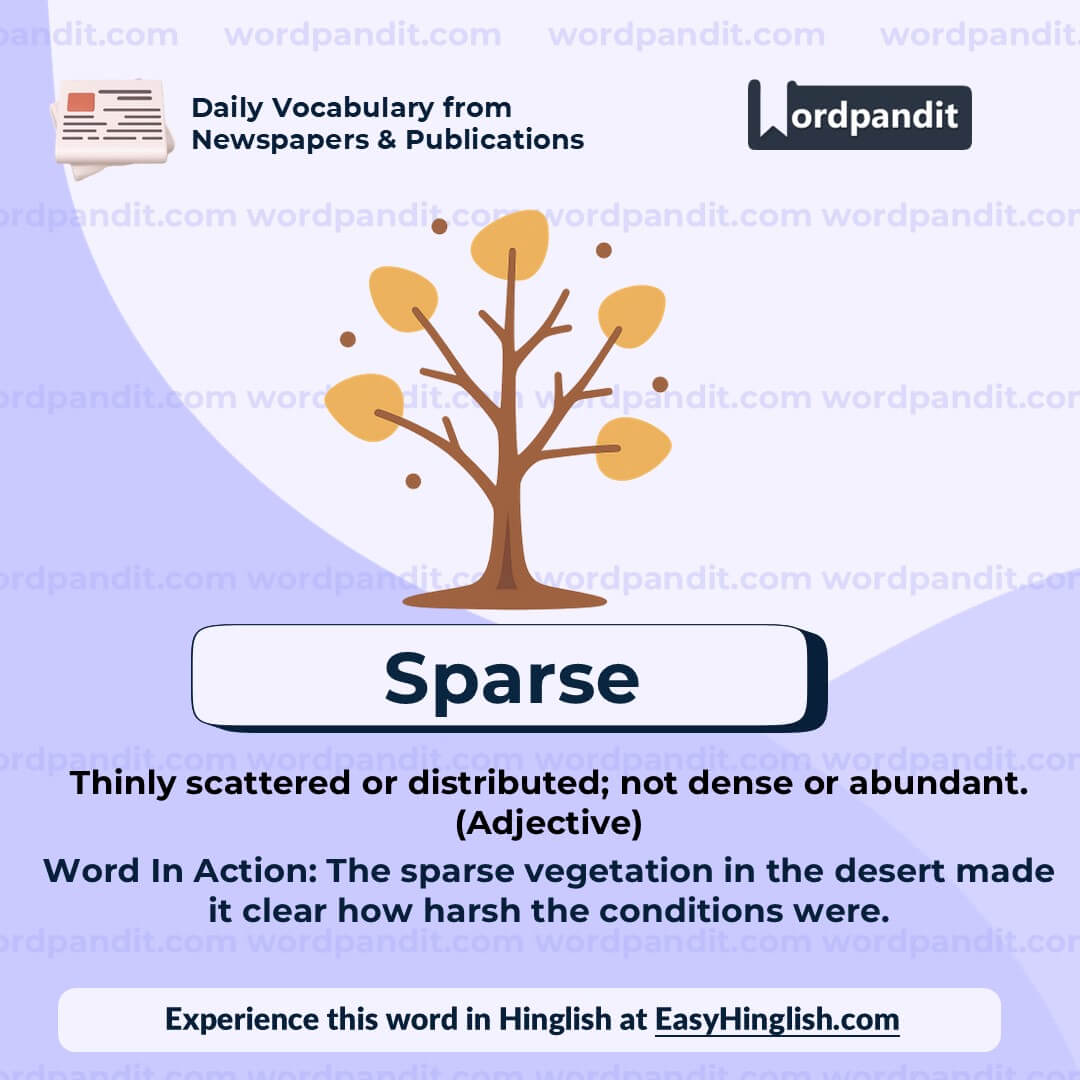 Sparse (wp)