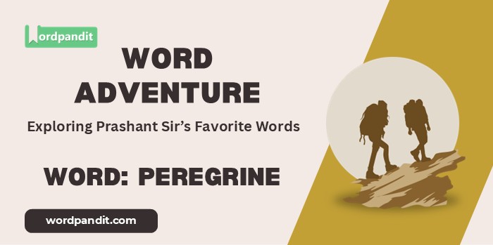 Word Adventure Peregrine