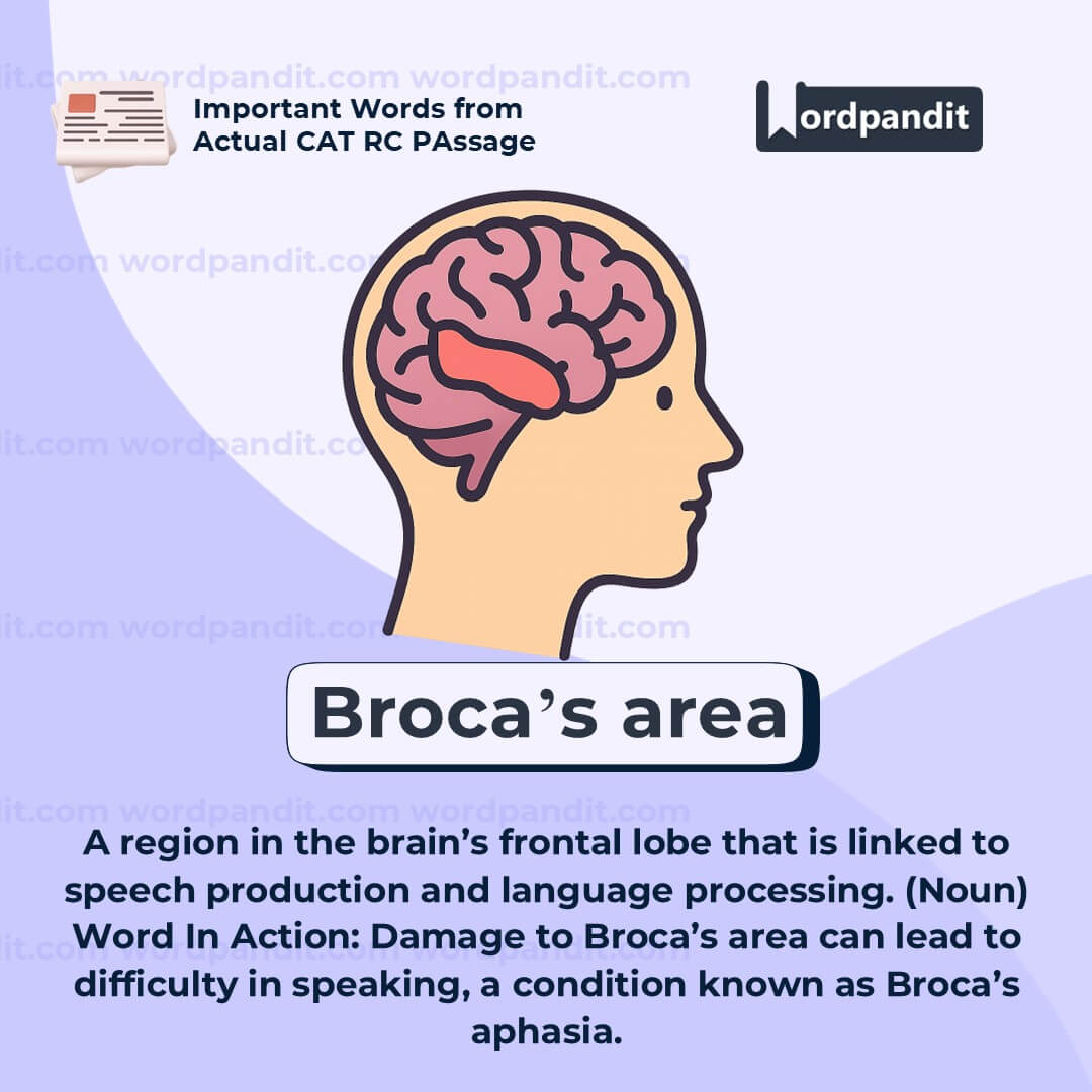 Broca’s Area