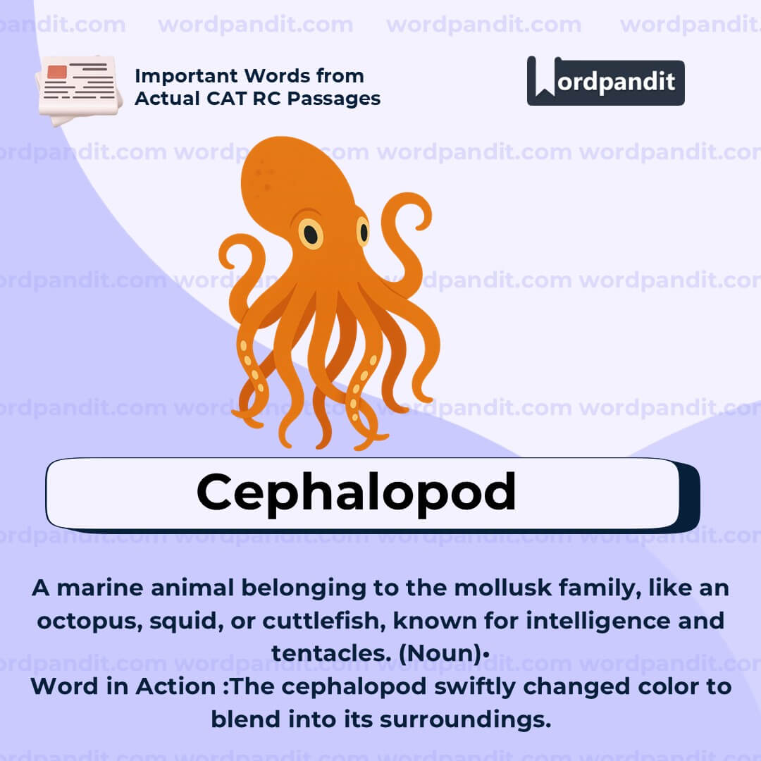 Cephalopod