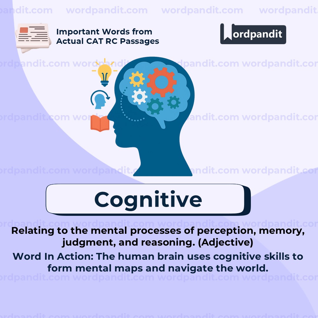 Cognitive