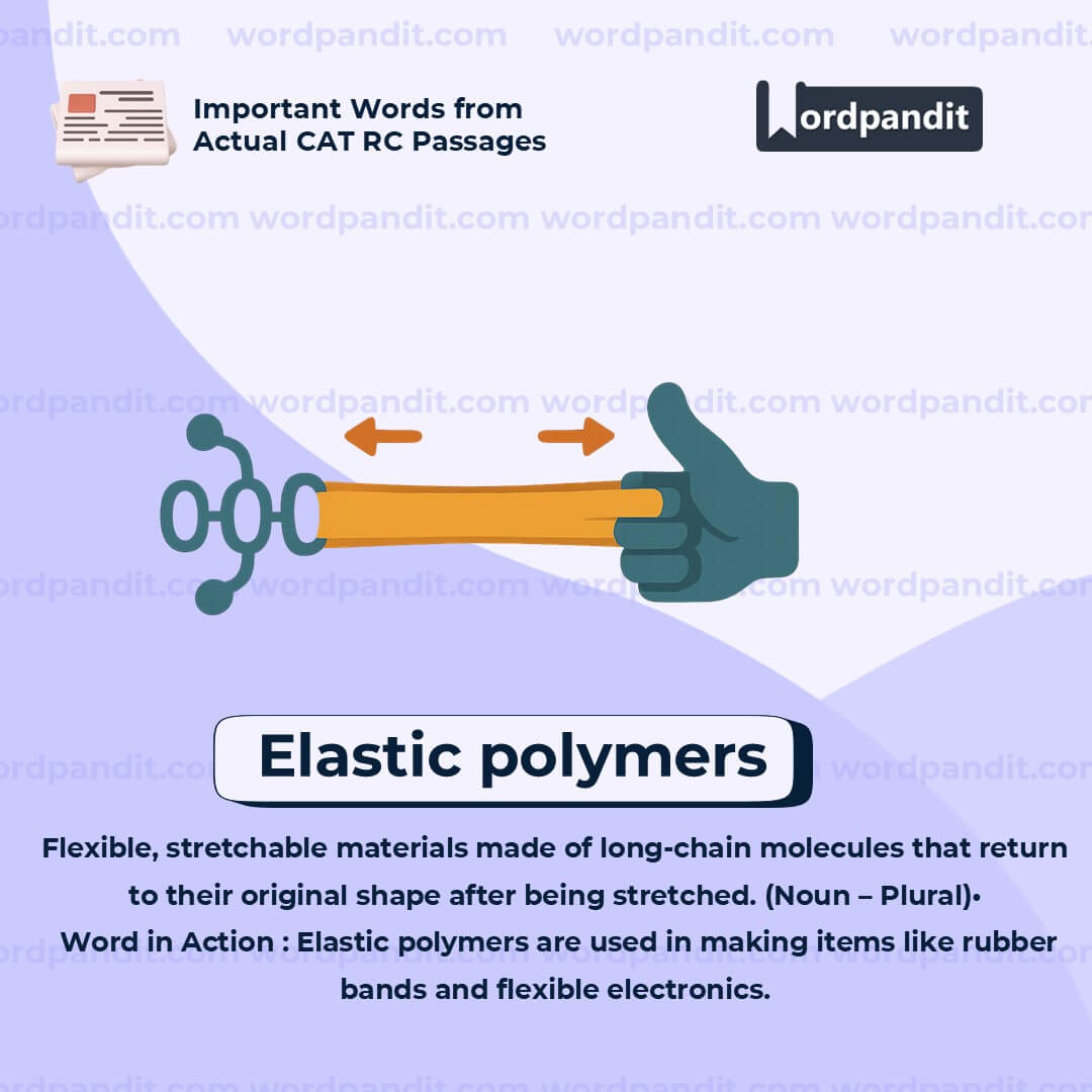 Elastic Polymers
