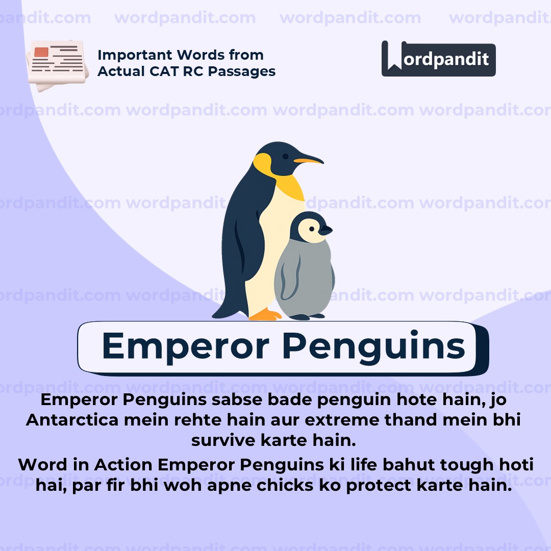 Emperor Penguins