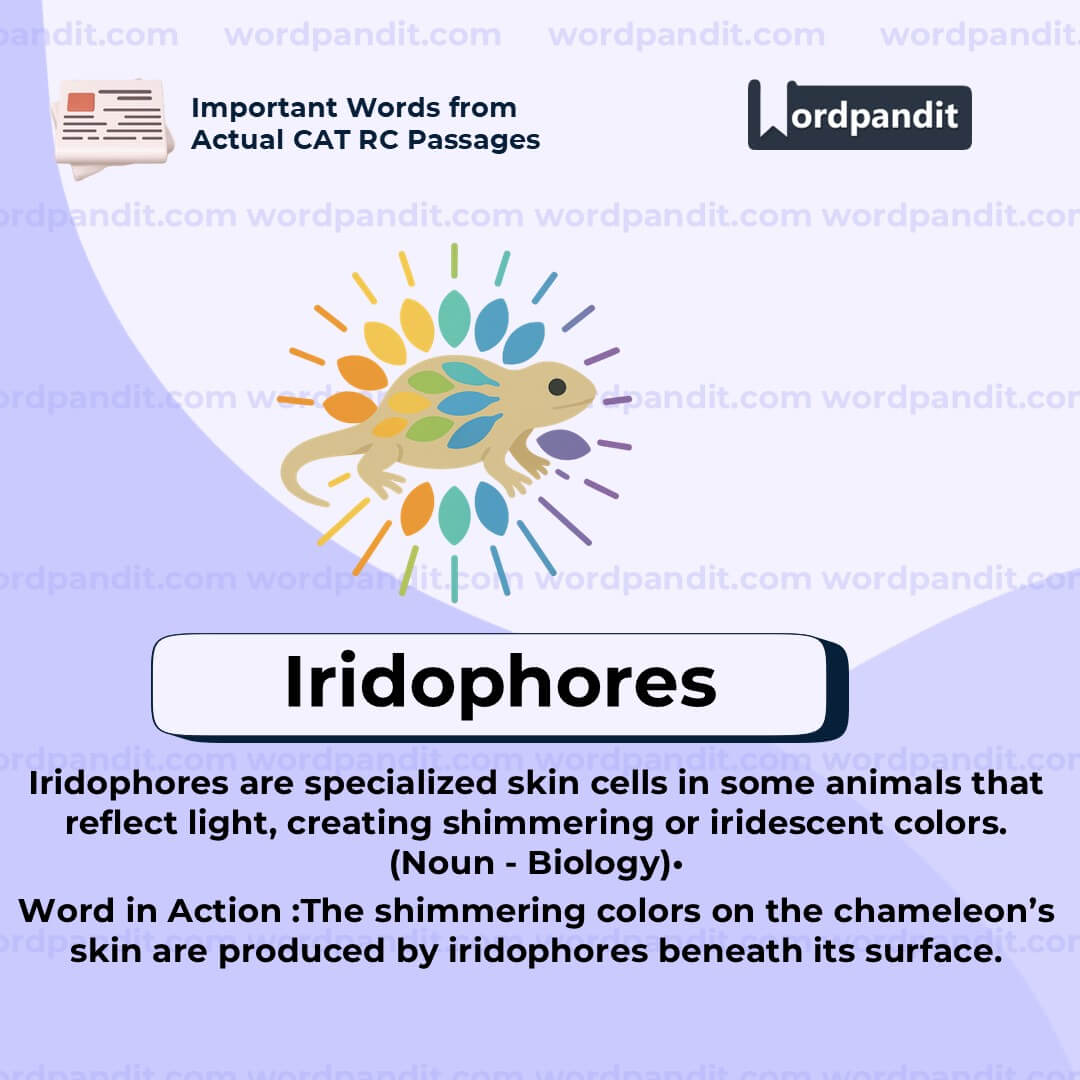 Iridophores