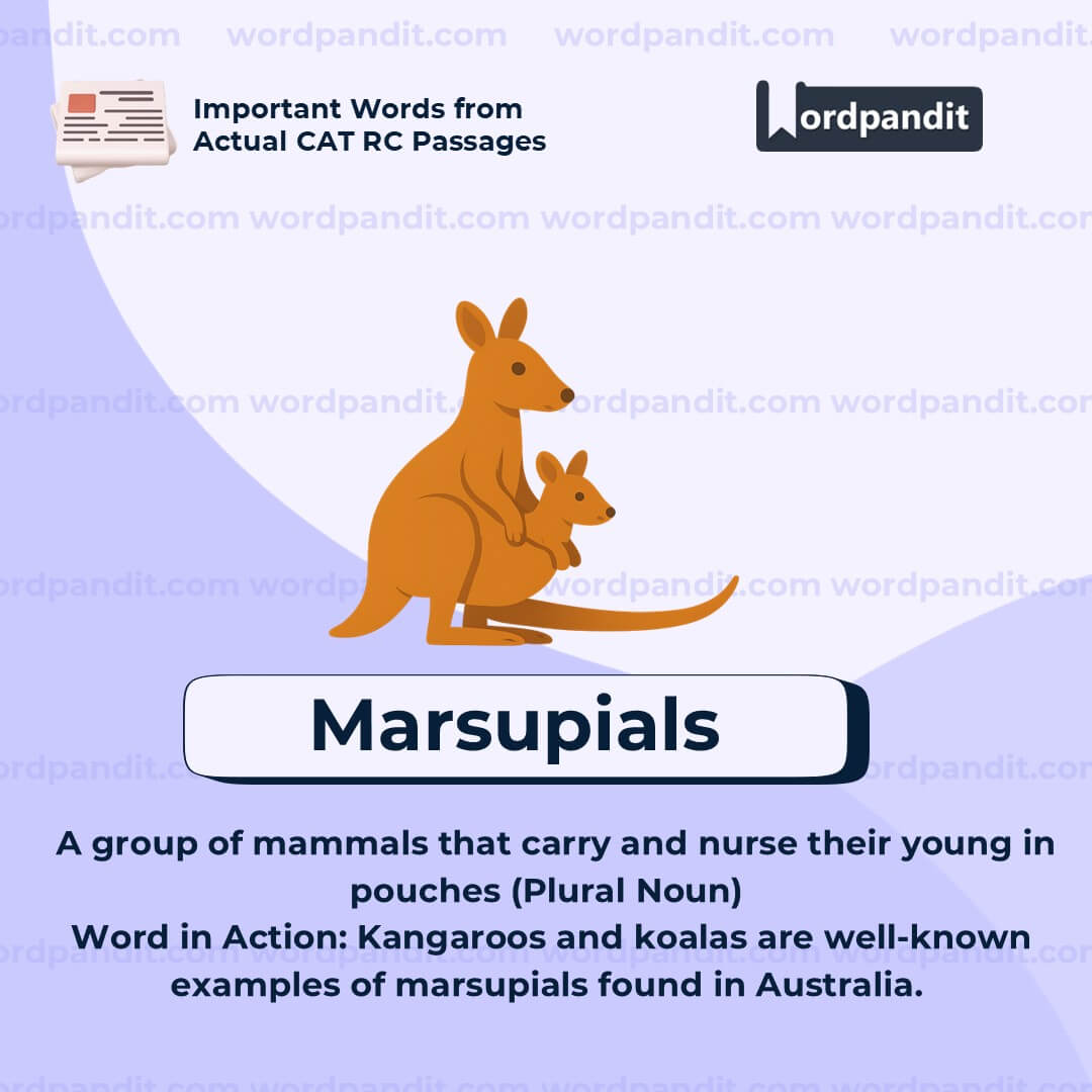 Marsupials