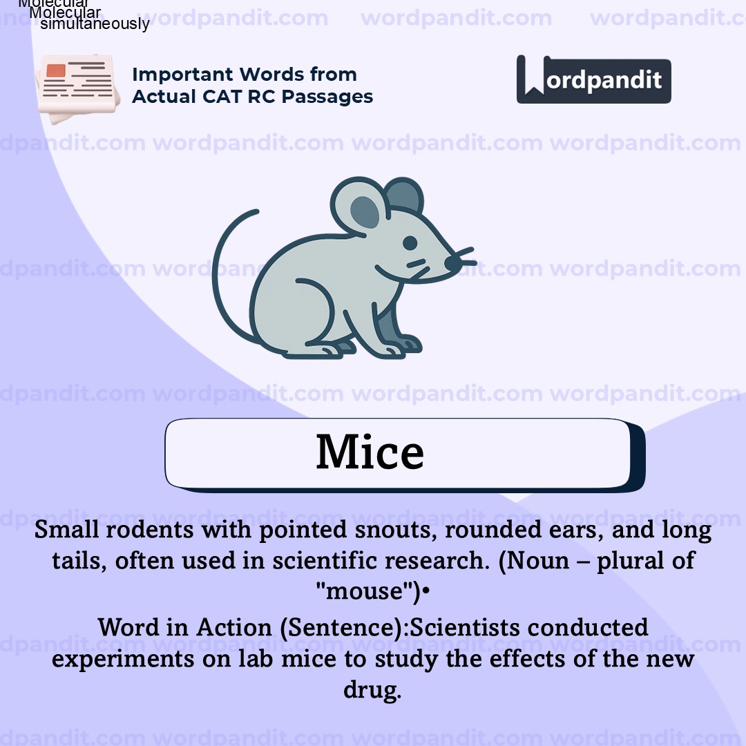Mice