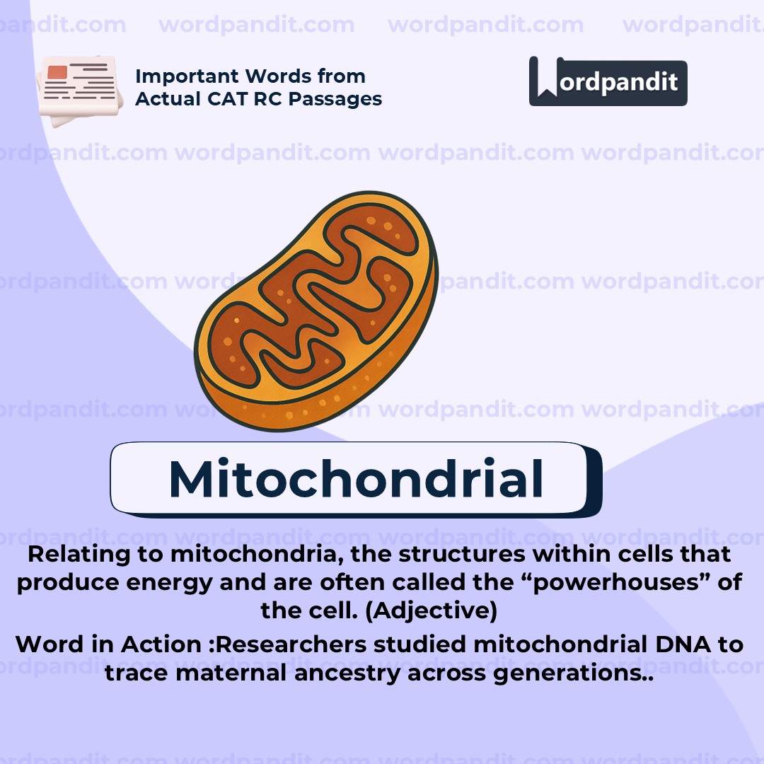 Mitochondrial