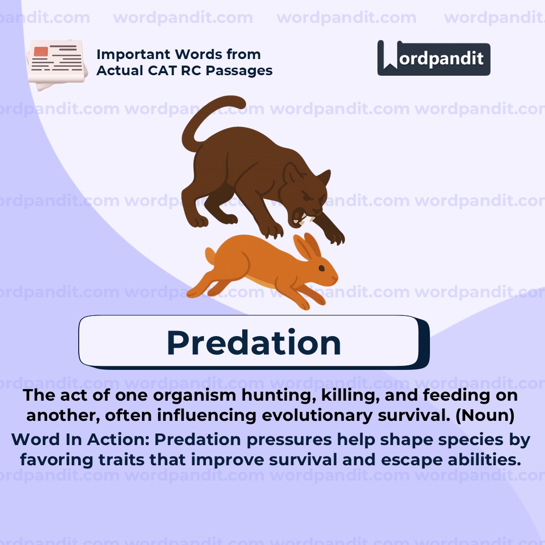 Predation