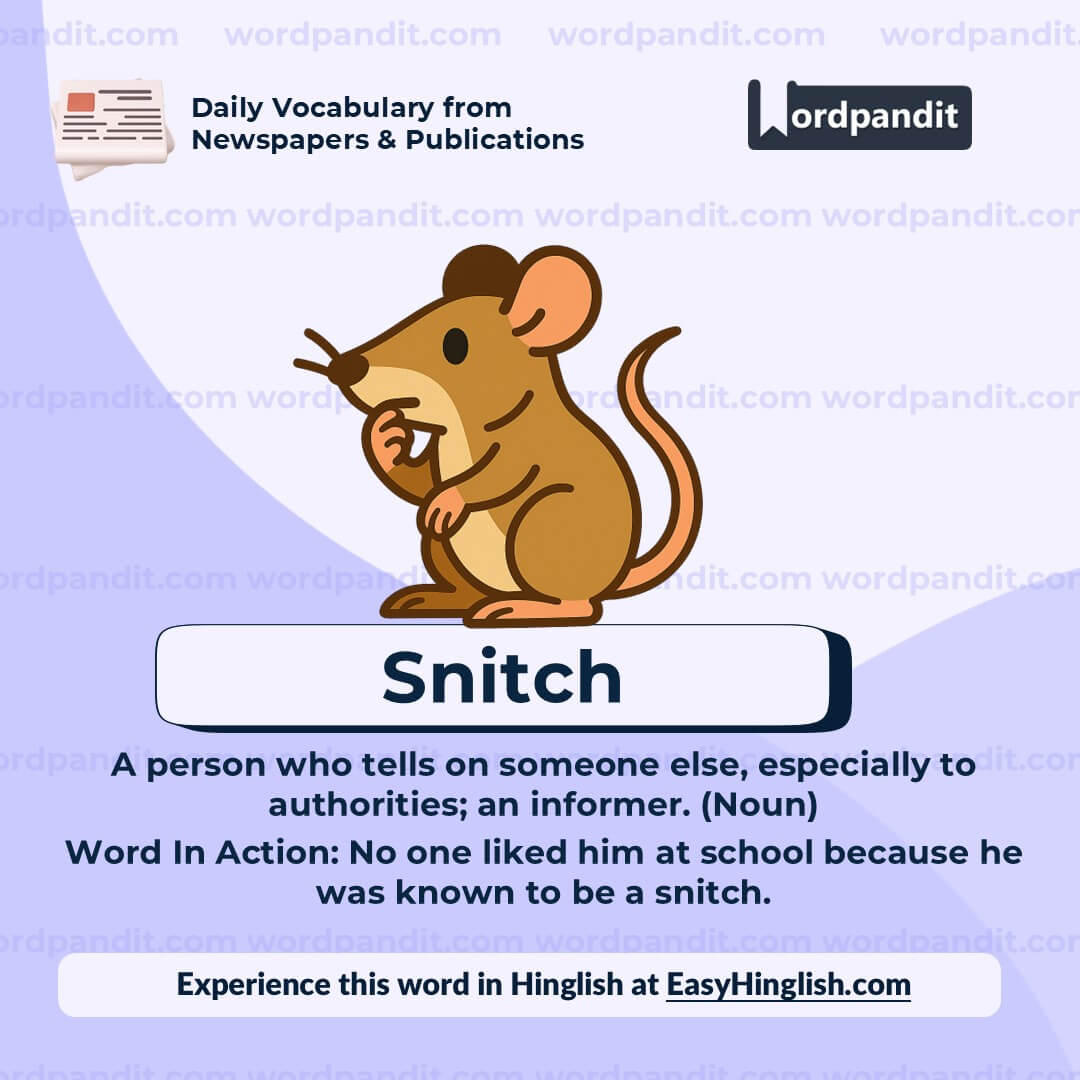 Snitch Wp Snitch Wp