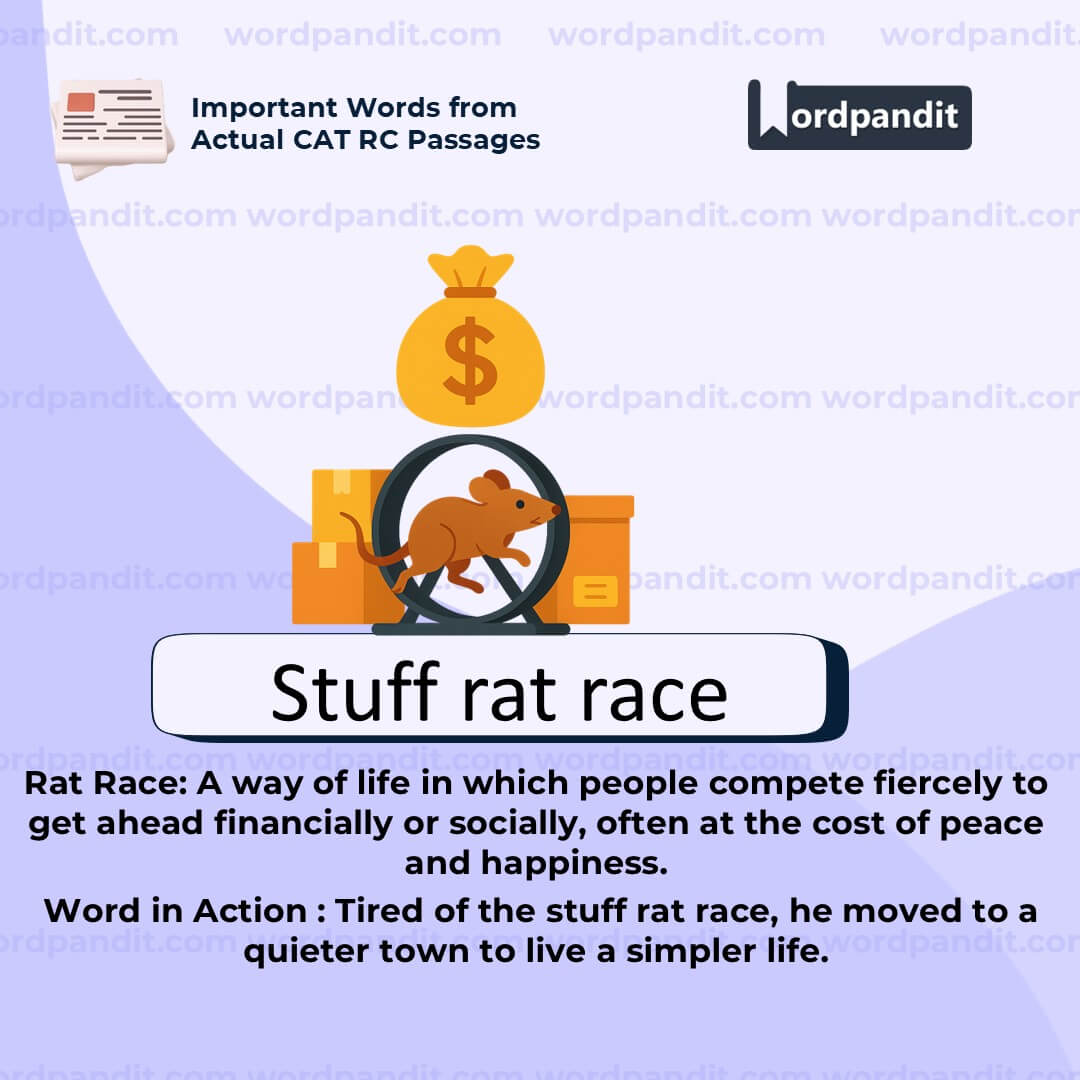 Stuff Rat Race