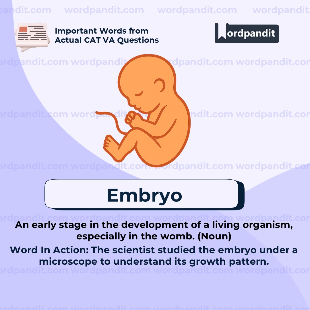 Embryo