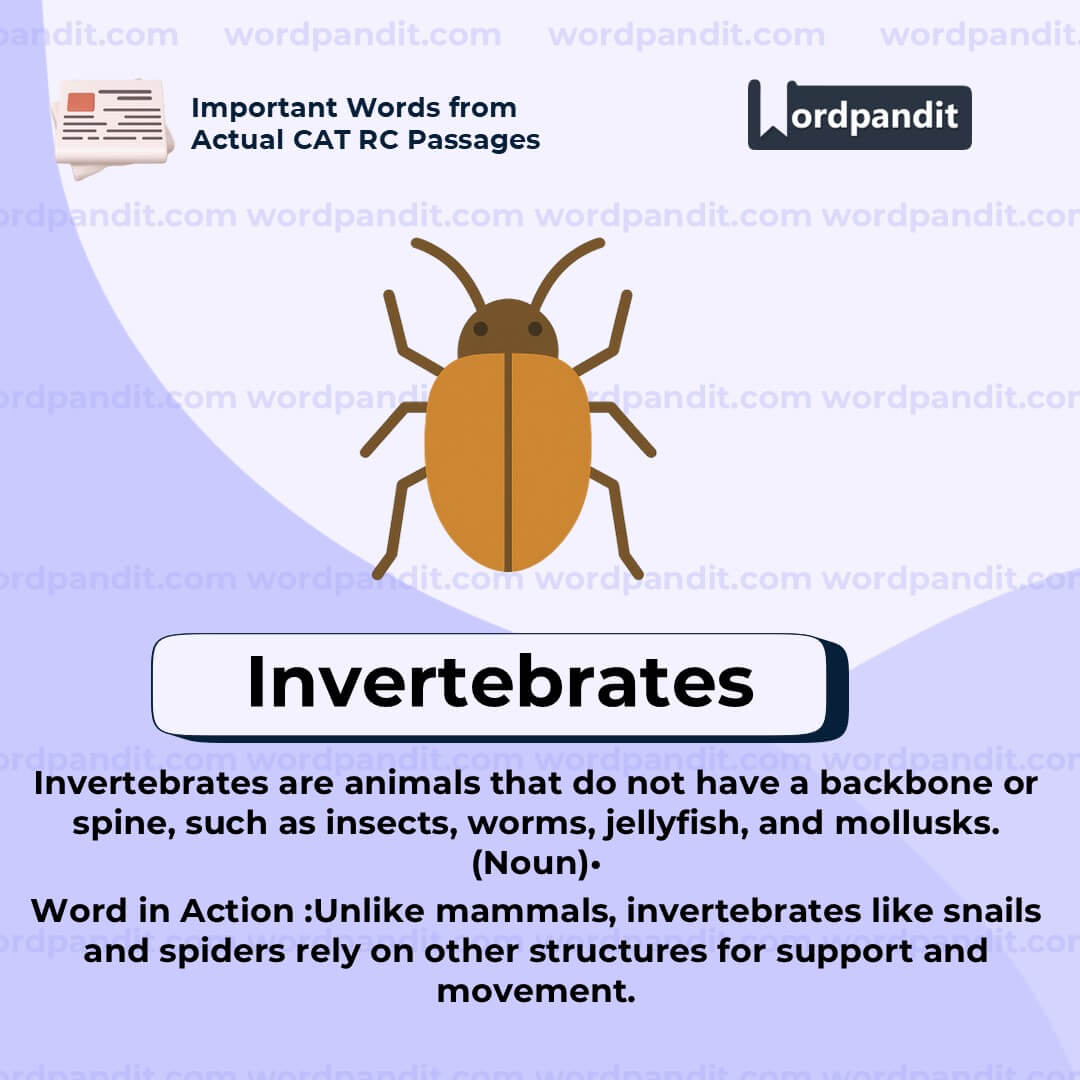 Invertebrates
