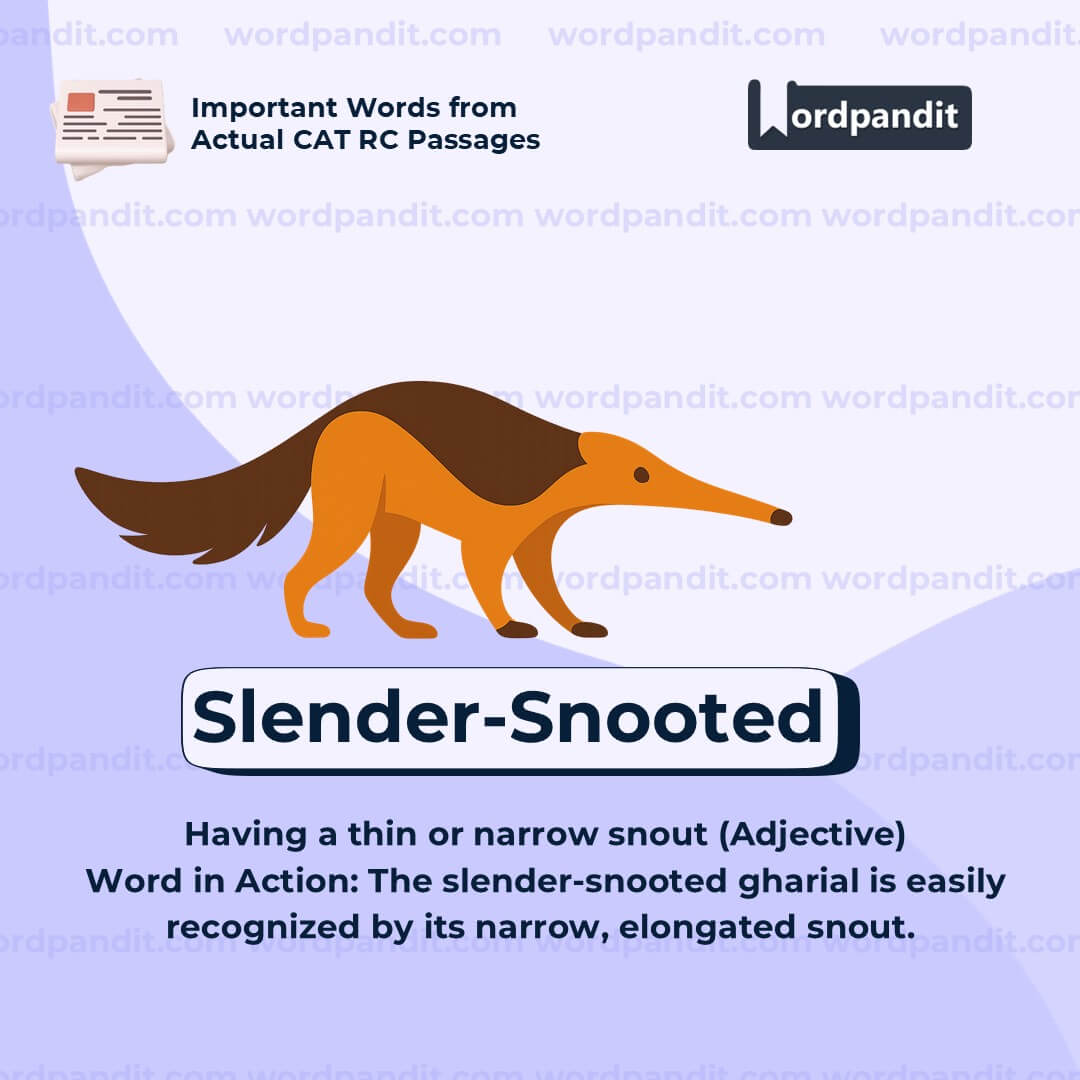 Slender Snooted