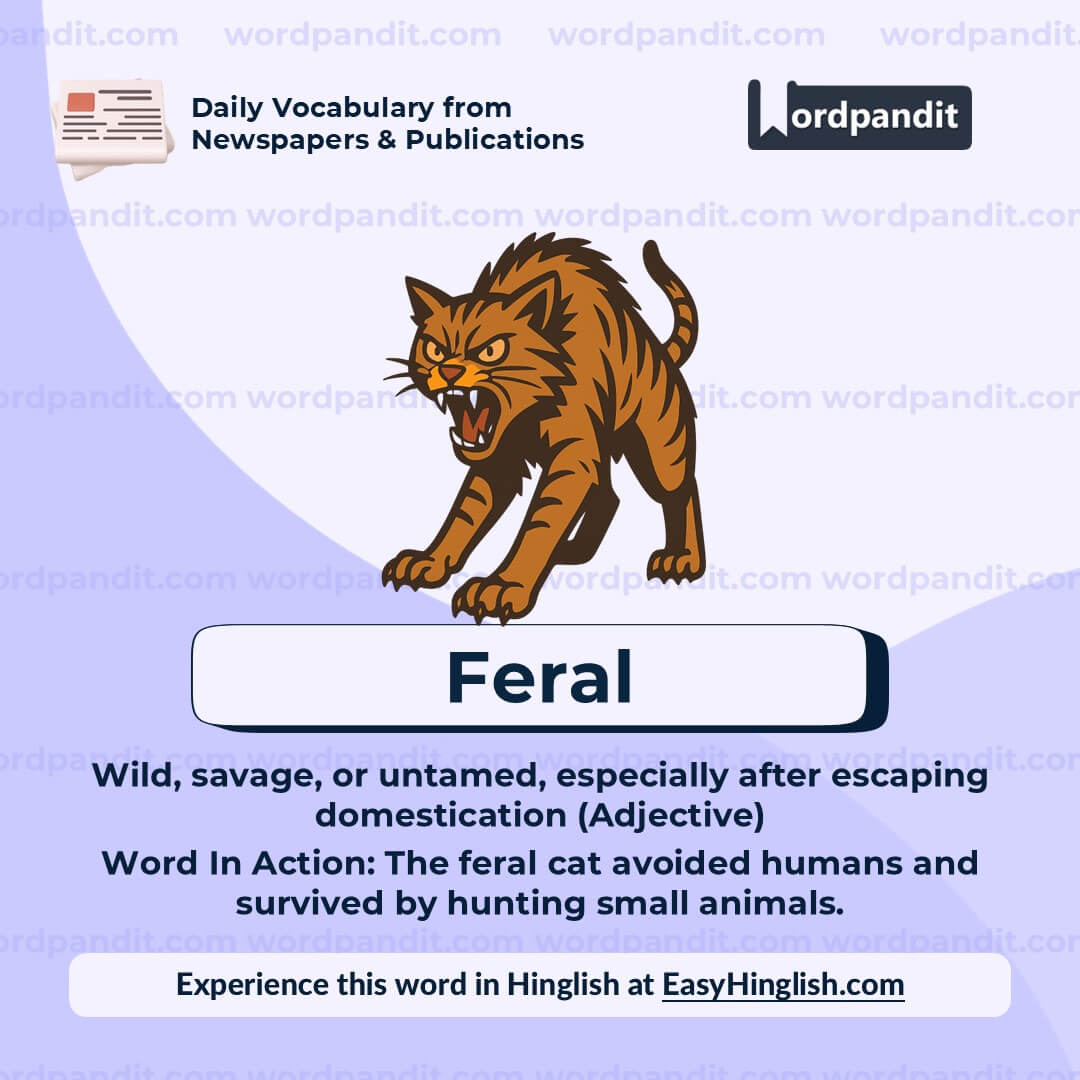 Feral